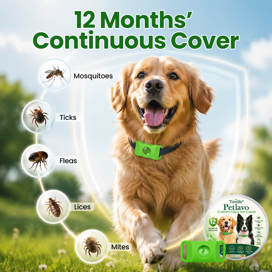 Timilk® Petlavo 12-Month Flea & Tick Collar 🐶 — Say Goodbye to Fleas & Ticks 💨, Keep Your Dog Comfortable 🌿, Long-Lasting Protection ✅