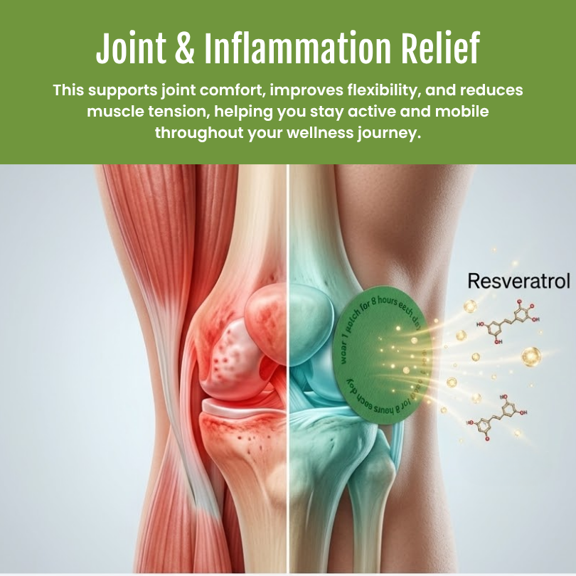 Timilk® PhytoMeta Advanced Botanical Infusion Matrix