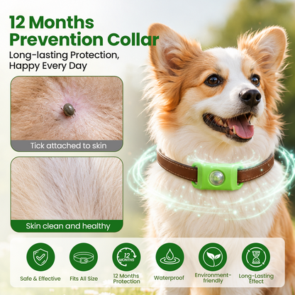 Timilk® Petlavo 12-Month Flea & Tick Collar 🐶 — Say Goodbye to Fleas & Ticks 💨, Keep Your Dog Comfortable 🌿, Long-Lasting Protection ✅