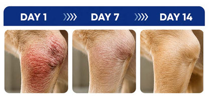 Timilk® FlexiPaws— Comfort & Mobility Drops